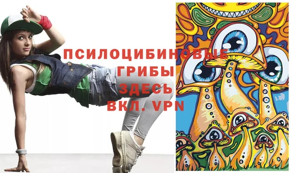 крисы Аркадак