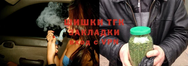 гидра Арсеньев
