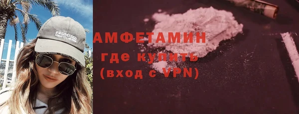 гидра Арсеньев