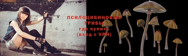 гидра Арсеньев
