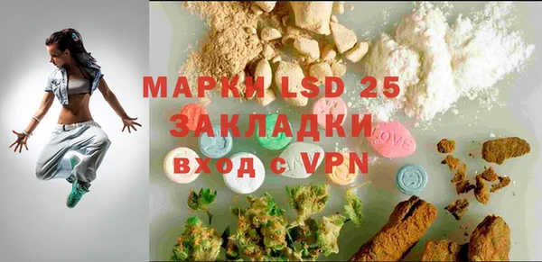 крисы Аркадак