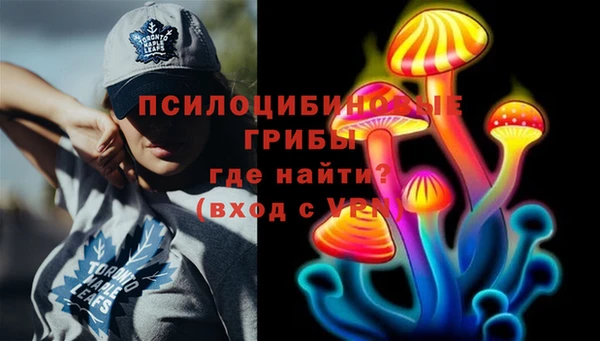 гидра Арсеньев
